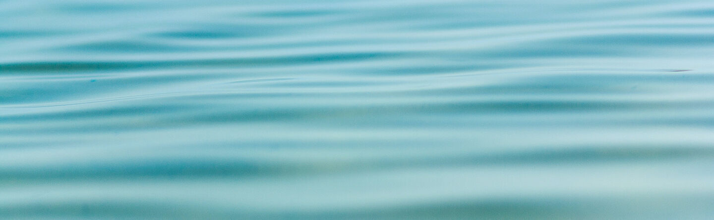 ส่วนบนสุดของเว็บไซต์